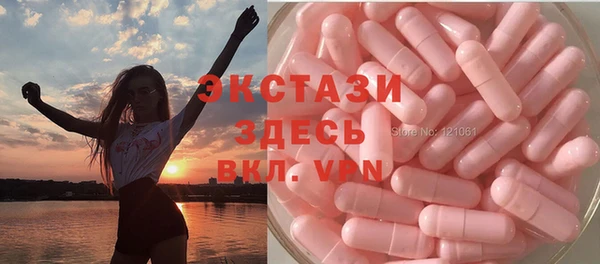 гашик Козельск