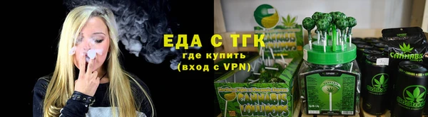 гашик Козельск
