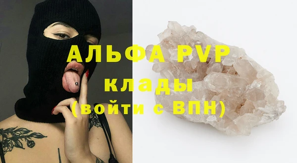 гашик Козельск