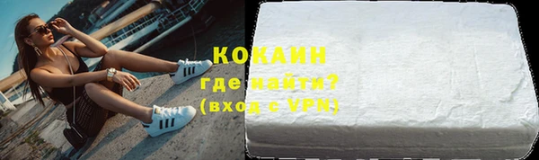 гашик Козельск