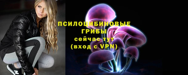 гашик Козельск