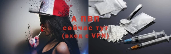 гашик Козельск