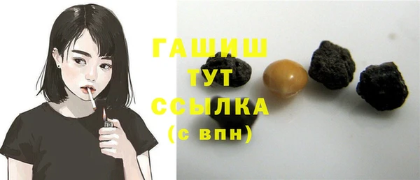 гашик Козельск
